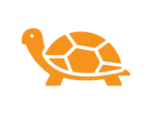 tortoise mode